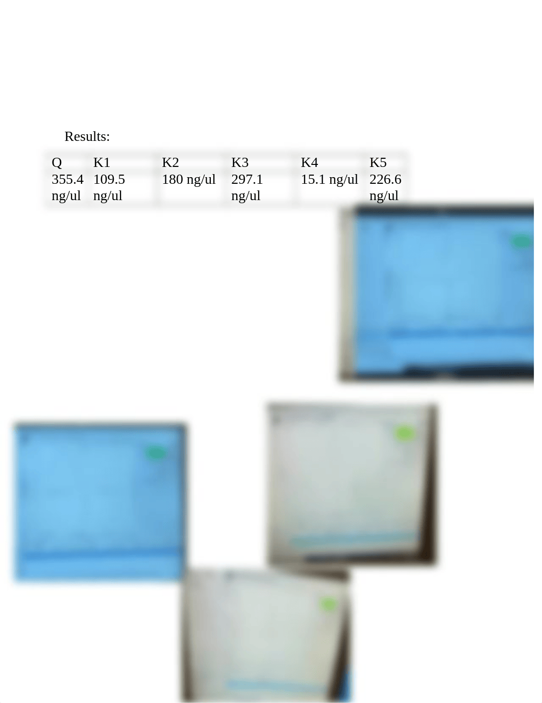 Determination of DNA Quality and Quantity using UV.docx_disxmezhjlg_page3