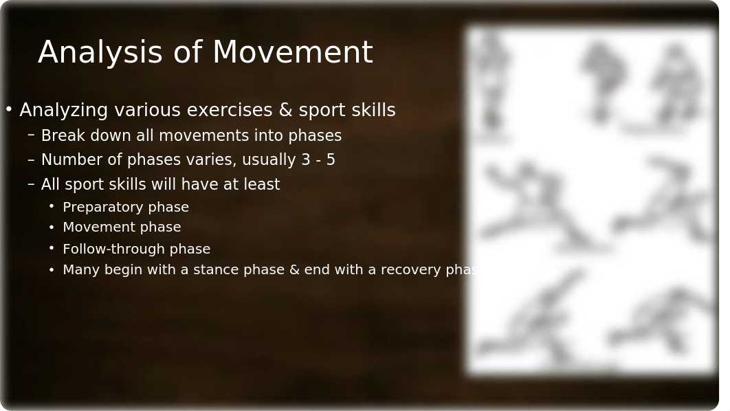 EXS 315 - Unit #6 - Lower Extremity Exercise Analysis-17-BLACKBOARD_disy8e2h7hb_page4