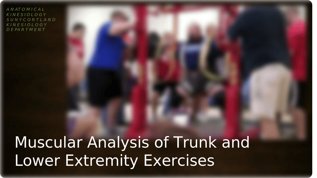 EXS 315 - Unit #6 - Lower Extremity Exercise Analysis-17-BLACKBOARD_disy8e2h7hb_page1