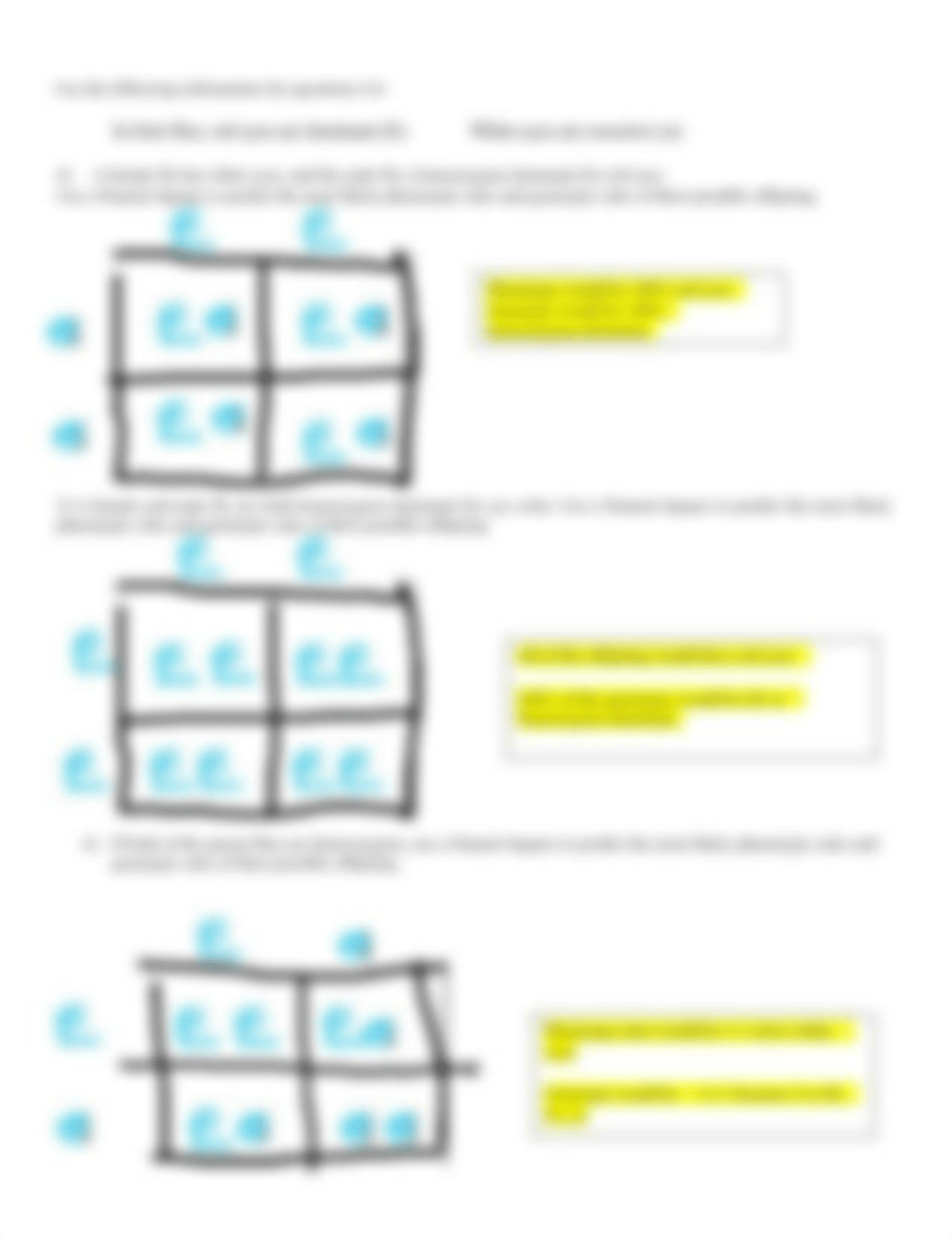 Punnett_Square_Worksheet_2-5-27-21_doc.docx_dit9dmgza26_page2