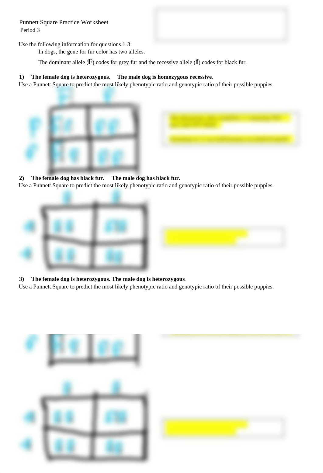 Punnett_Square_Worksheet_2-5-27-21_doc.docx_dit9dmgza26_page1