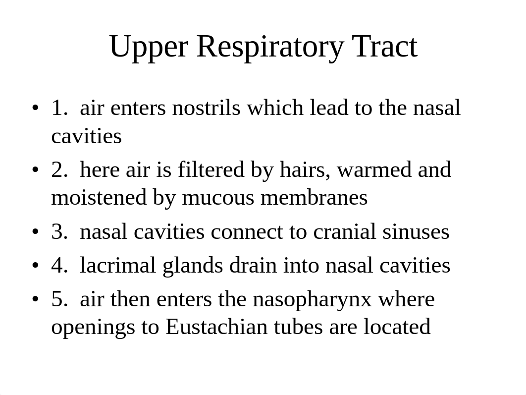 Chapter 9 - Respiratory System - Notes_ditb73k300r_page3