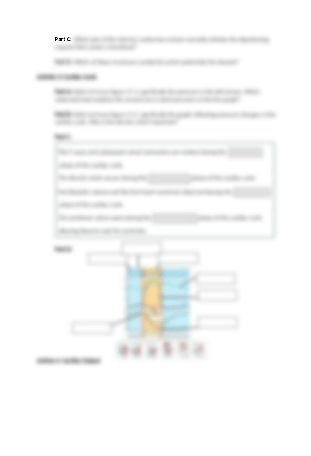 Cardiovascular Physiology Lab (1).docx_ditf624jmx8_page2