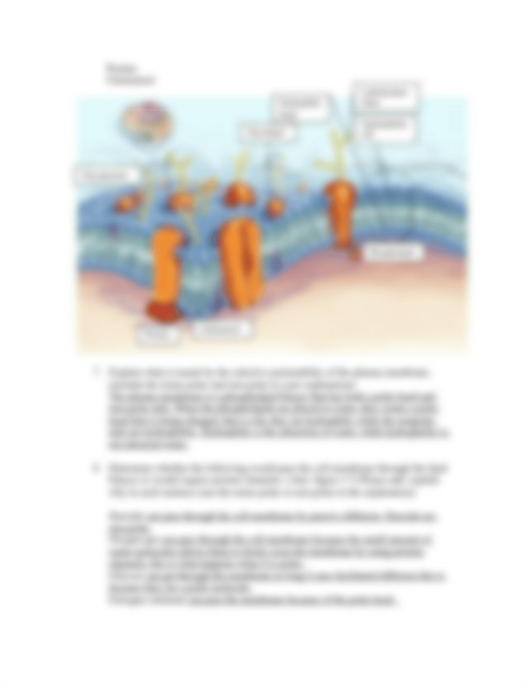 chapter 3 outline notes _BIO 110 2020.doc_ditgwbfbtsb_page4