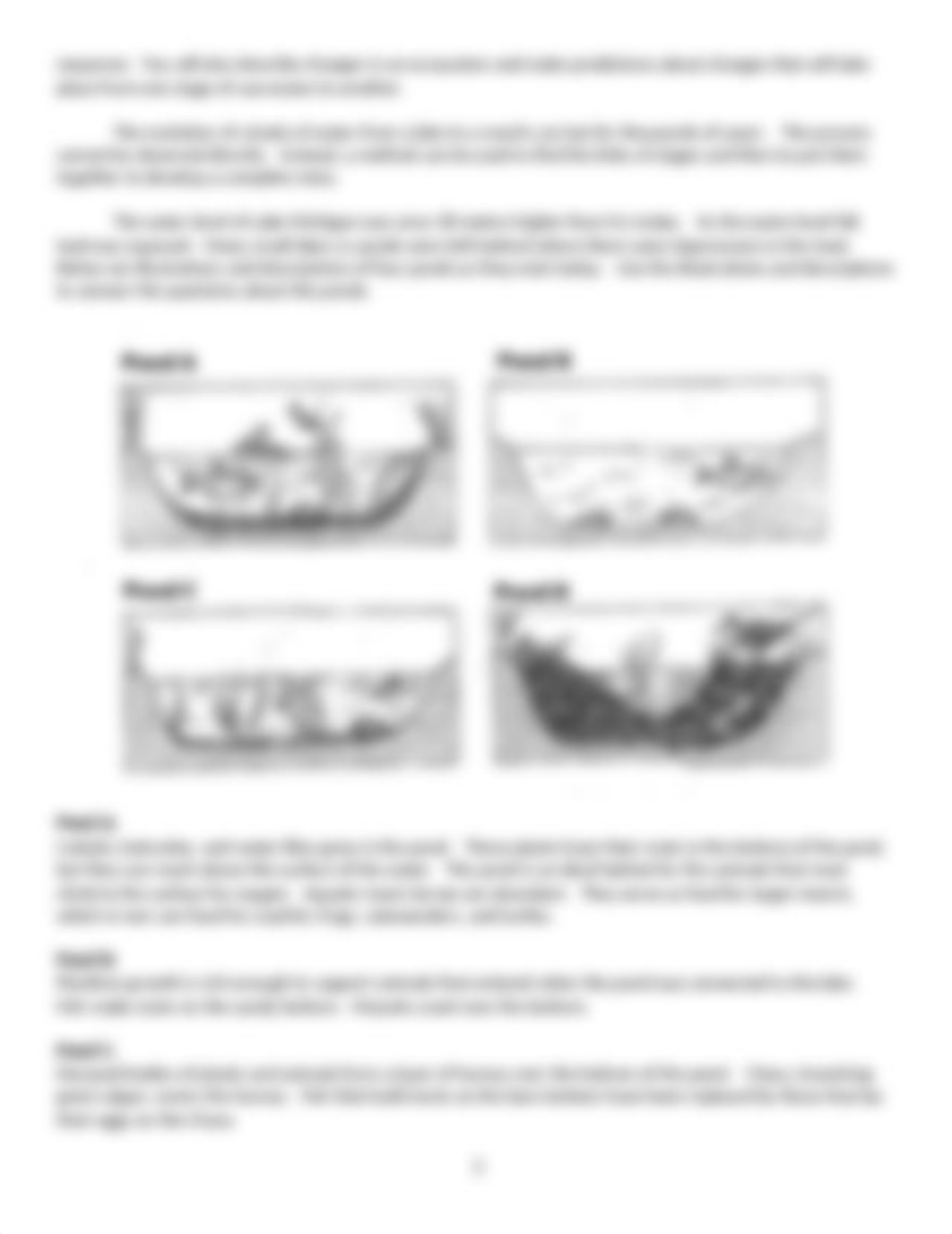 ecological_succession.doc_ditkoxzpi6j_page3