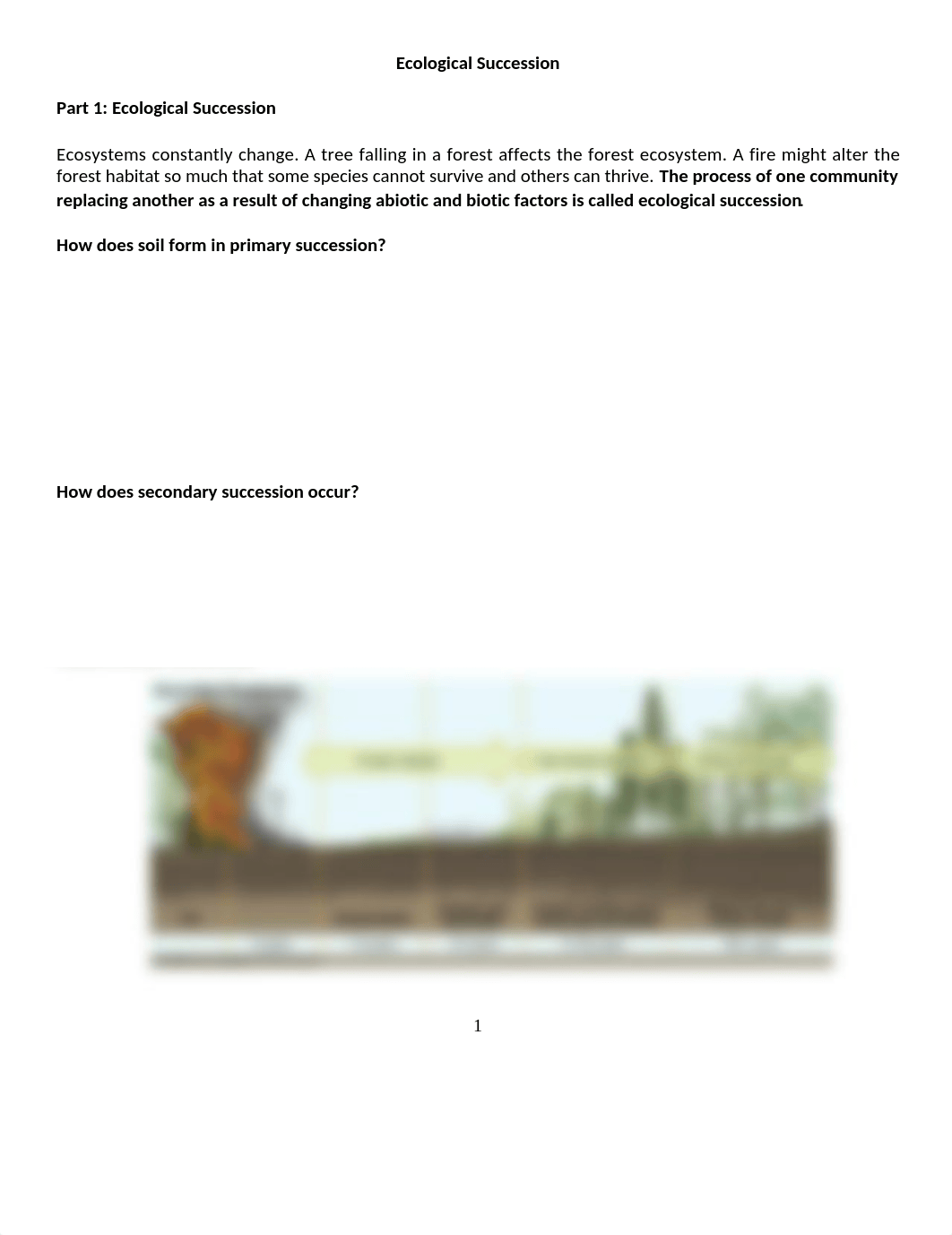 ecological_succession.doc_ditkoxzpi6j_page1