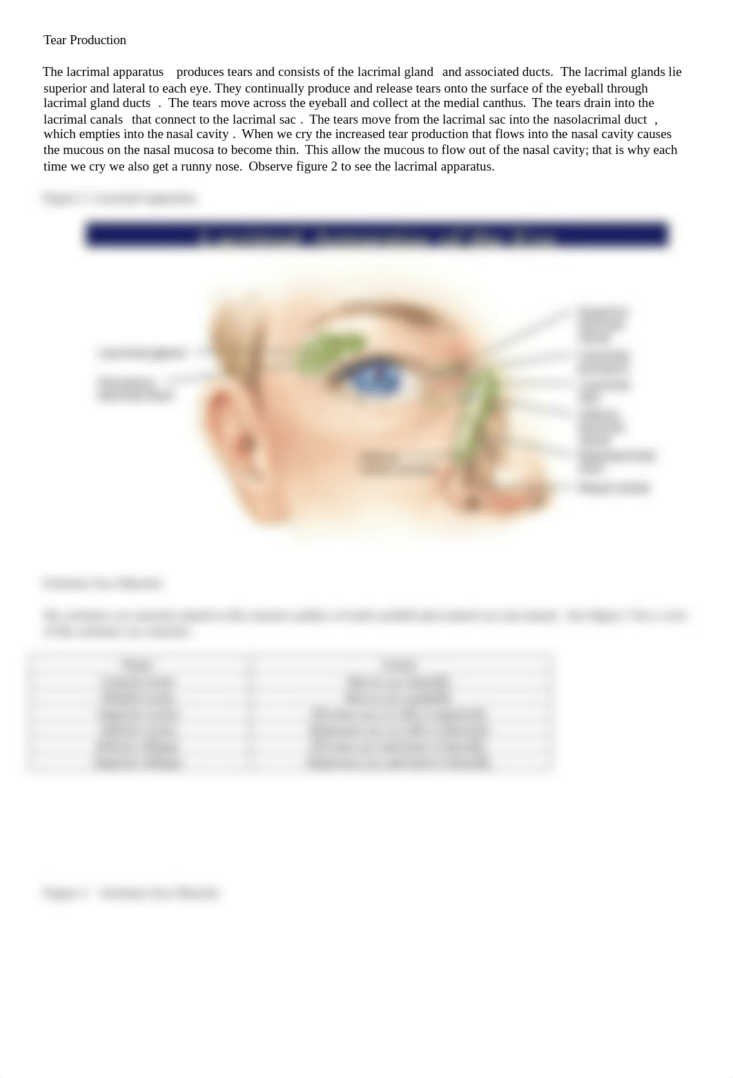 Brockman Special senses vision hearing and taste Feb 22_ditl9ueva4g_page2