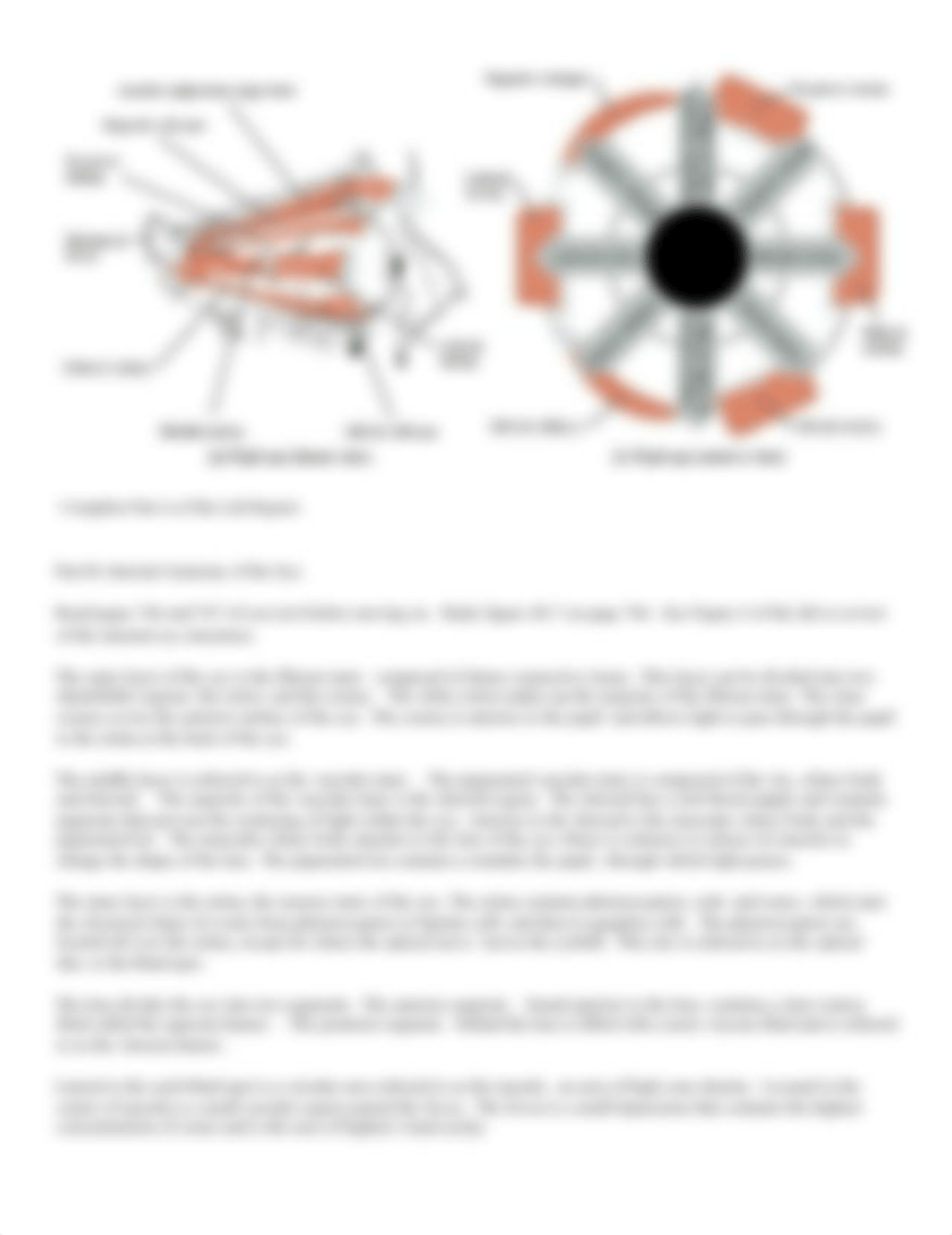 Brockman Special senses vision hearing and taste Feb 22_ditl9ueva4g_page3