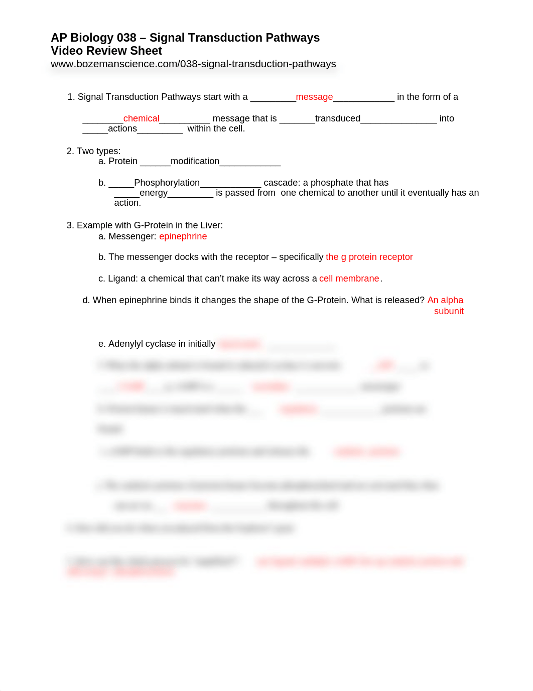 AP Bio Signal Transduction Pathways.docx_ditmbv4wpj5_page1