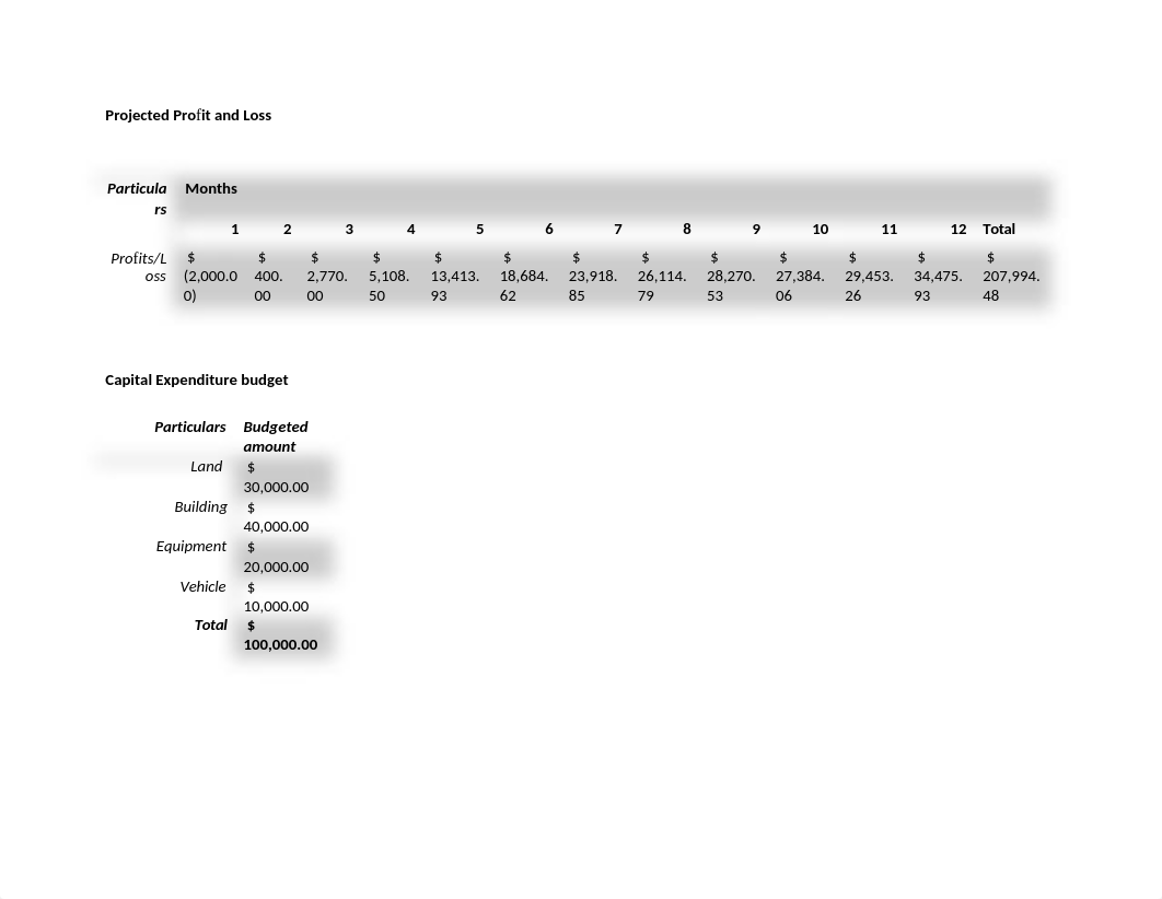 1  Assess Task 1 BSBPMG601.docx_ditmczacaub_page5