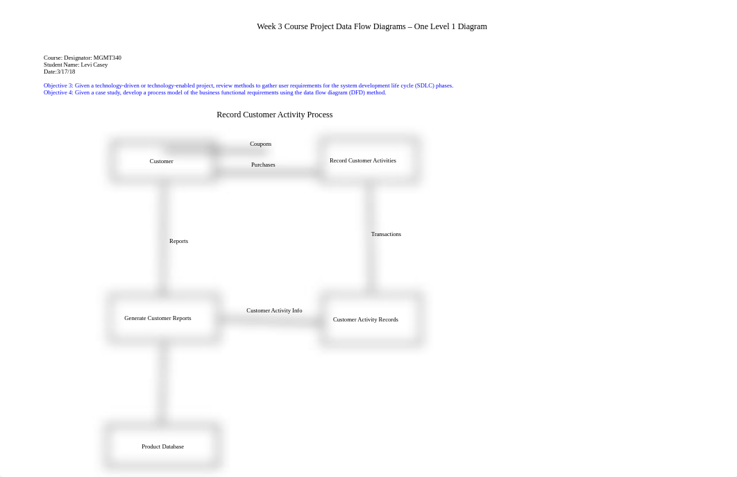 MGMT340_W3_DFD_Record_Customer_Activity_Process.docx_ditq96annhg_page1