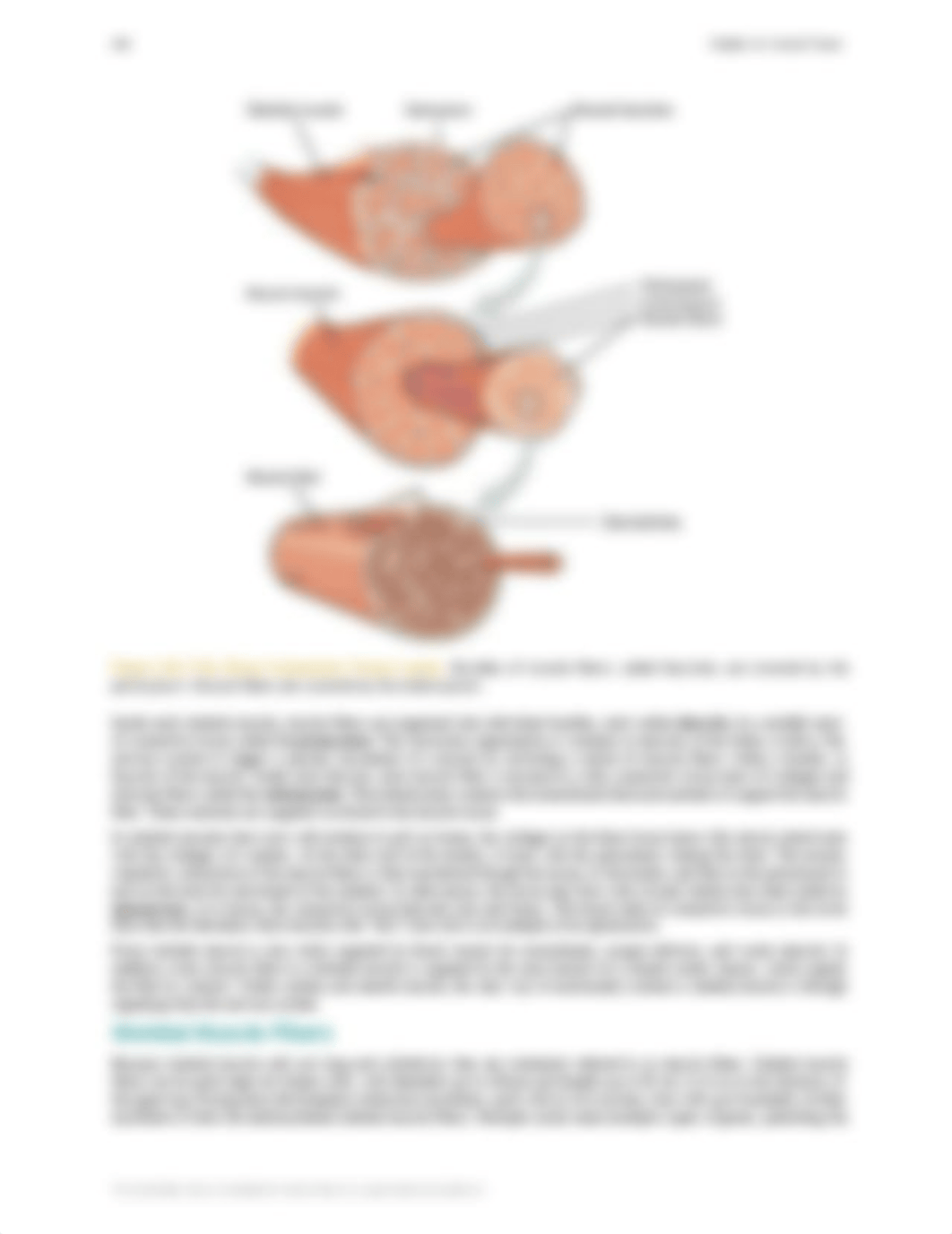 Ch10.pdf_ditr2acovvb_page4