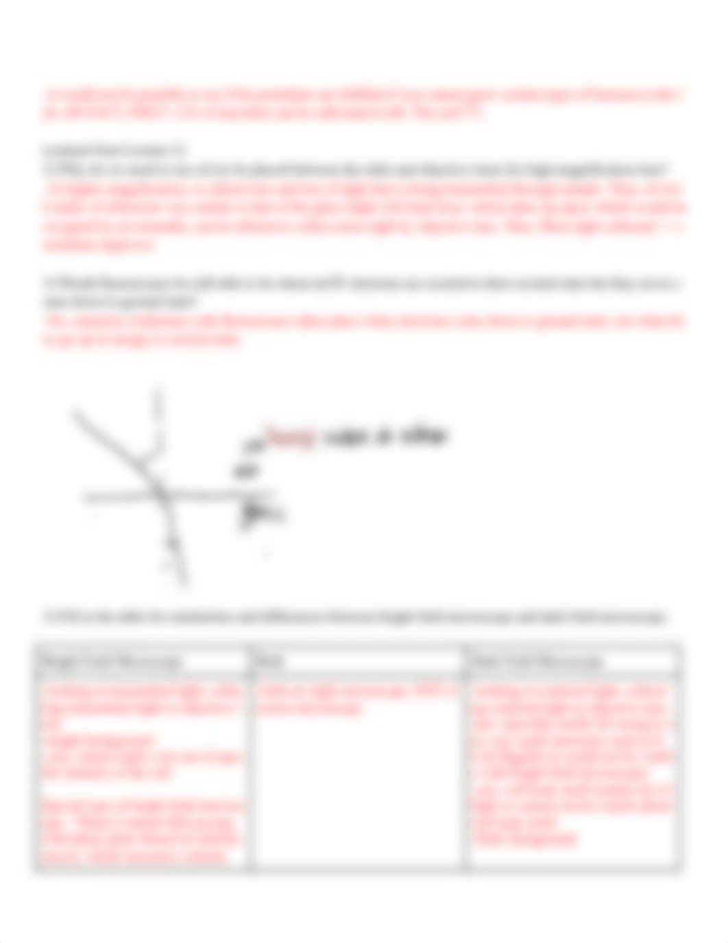 week 2 worksheet answer key (1).docx_ditr8bwgjtl_page3