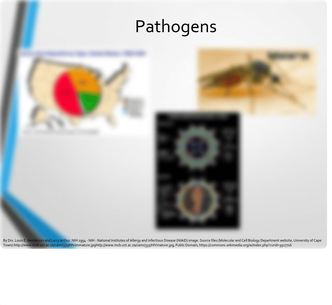 Infection Control and Standard Precautions 2019.pdf_ditts2mjhq8_page5