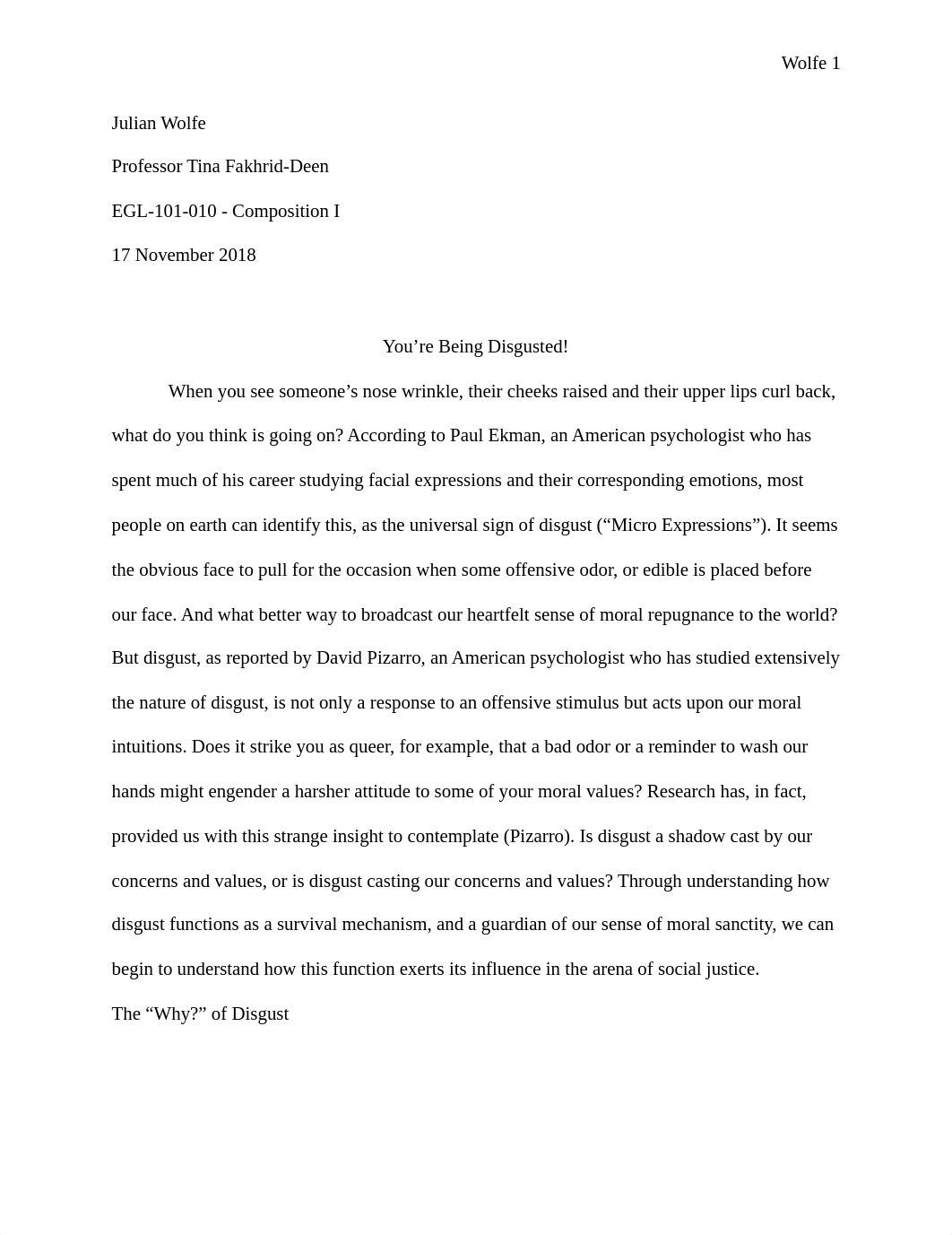 Investigative Essay.pdf_diu3gckew5q_page1