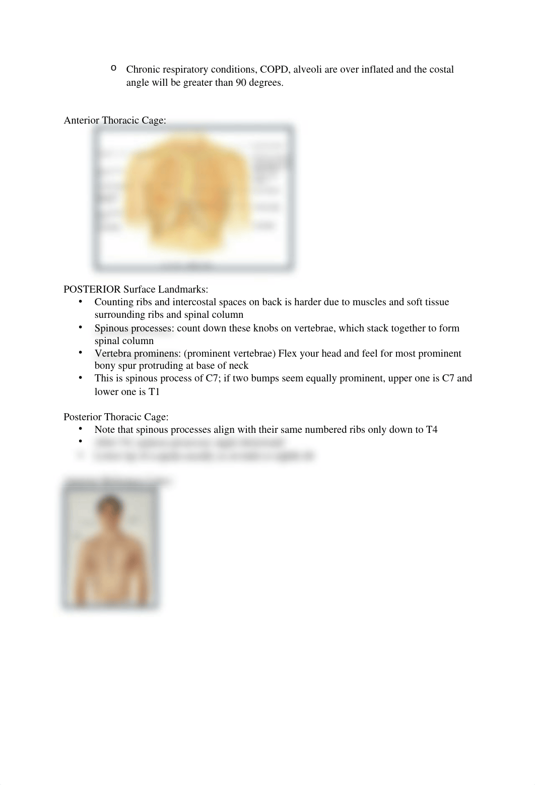 Thorax and Lungs.docx_diu6ulpv4s0_page2