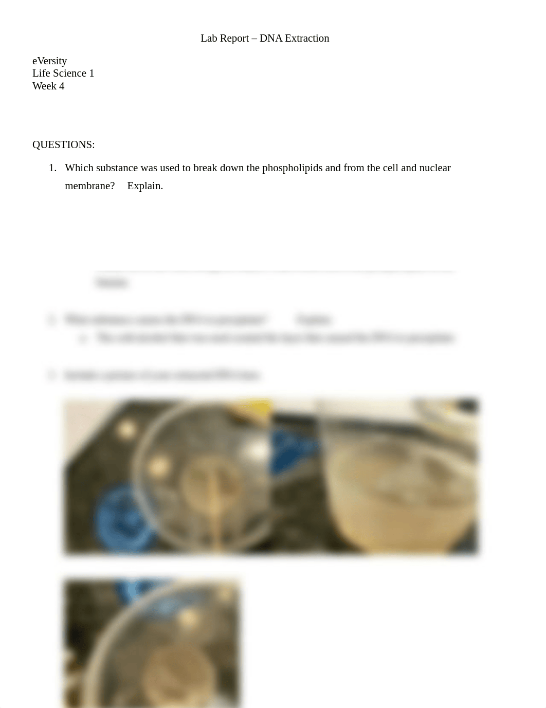 eVersity Life Science 1_Week 4_Lab Report - DNA Extraction.docx_diu7iwtlkya_page1