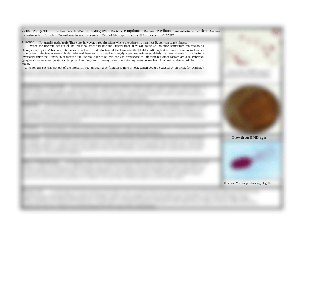 Pathogen Project Pathogens E. coli_diu9ldgknss_page1