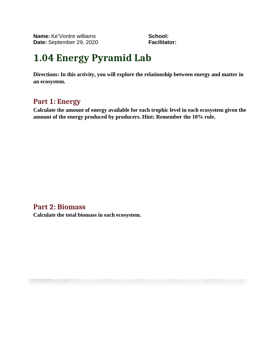 01-04_lab.docx_diubg8hoswt_page1