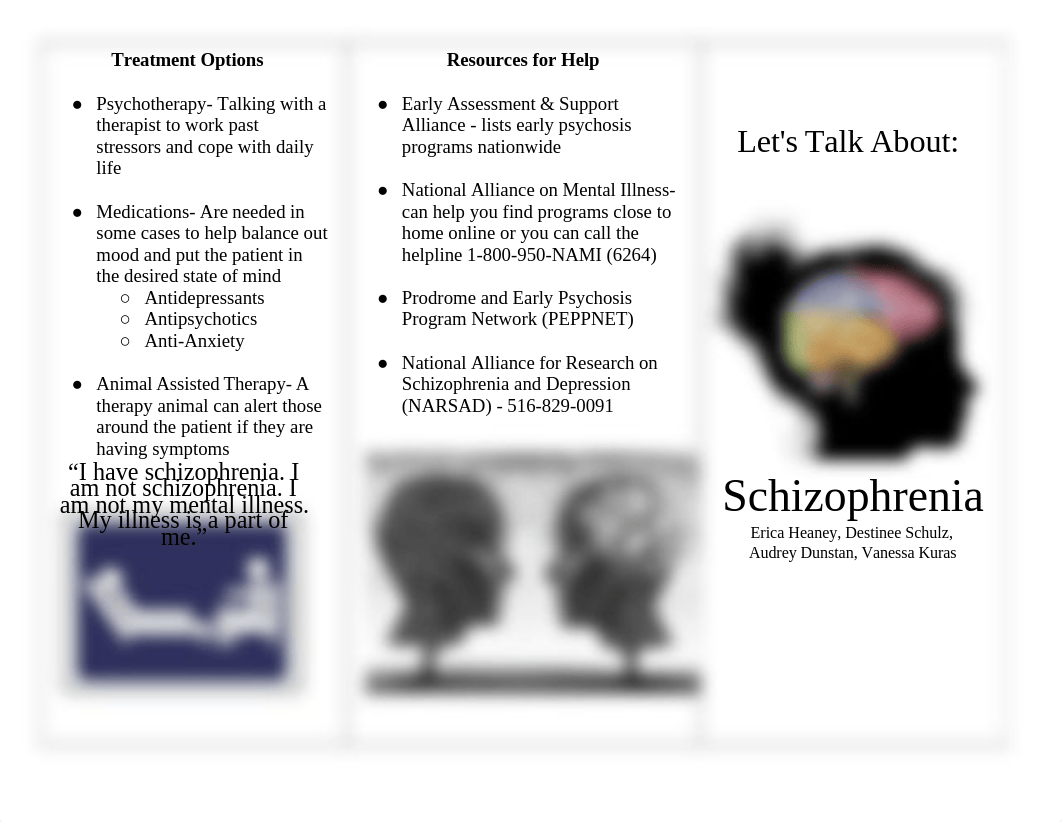 Schizophrenia Brochure Template.docx_diucn5xn681_page1