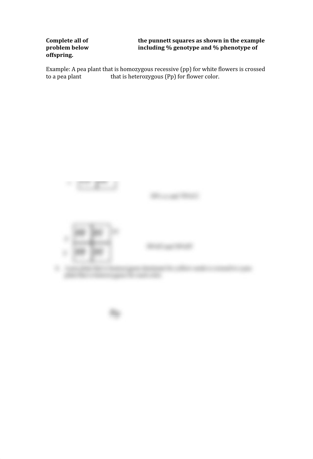 Punnett Squares (1).pdf_diuh3gyu3wb_page1