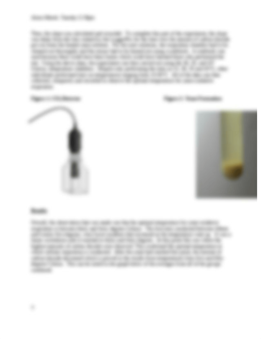 Determining the Optimal Temperature for Yeast Respiration.docx_diunsubab78_page3