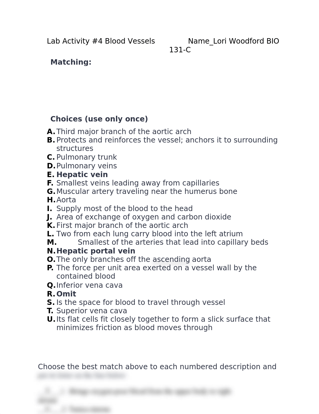 Lab Activity #4 Blood Vessels (1).docx_diusbijj17f_page1