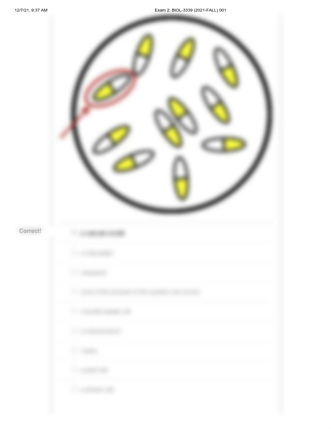 Exam 2_ BIOL-3339 (2021-FALL) 001.pdf_div4k9leoi3_page2