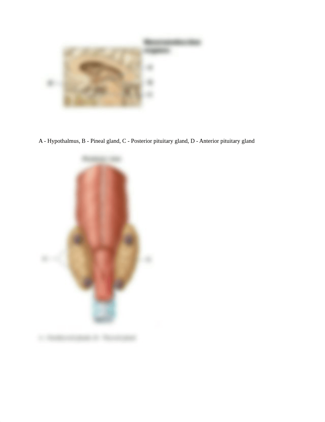 Unit7PracticeExam.docx_div9fxhlew2_page3