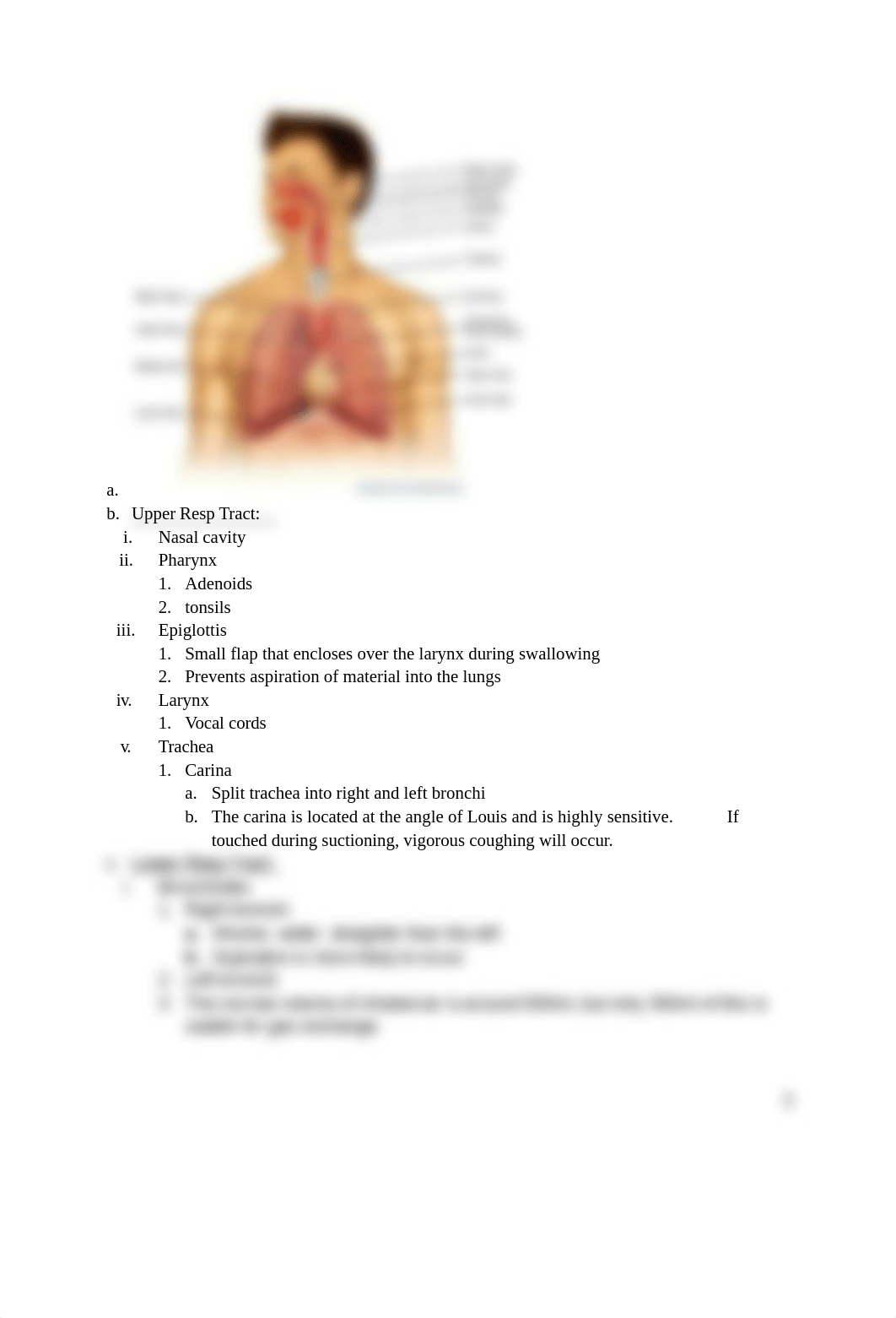 AH Exam 1 Study Guide.docx_divc20jqpwz_page3