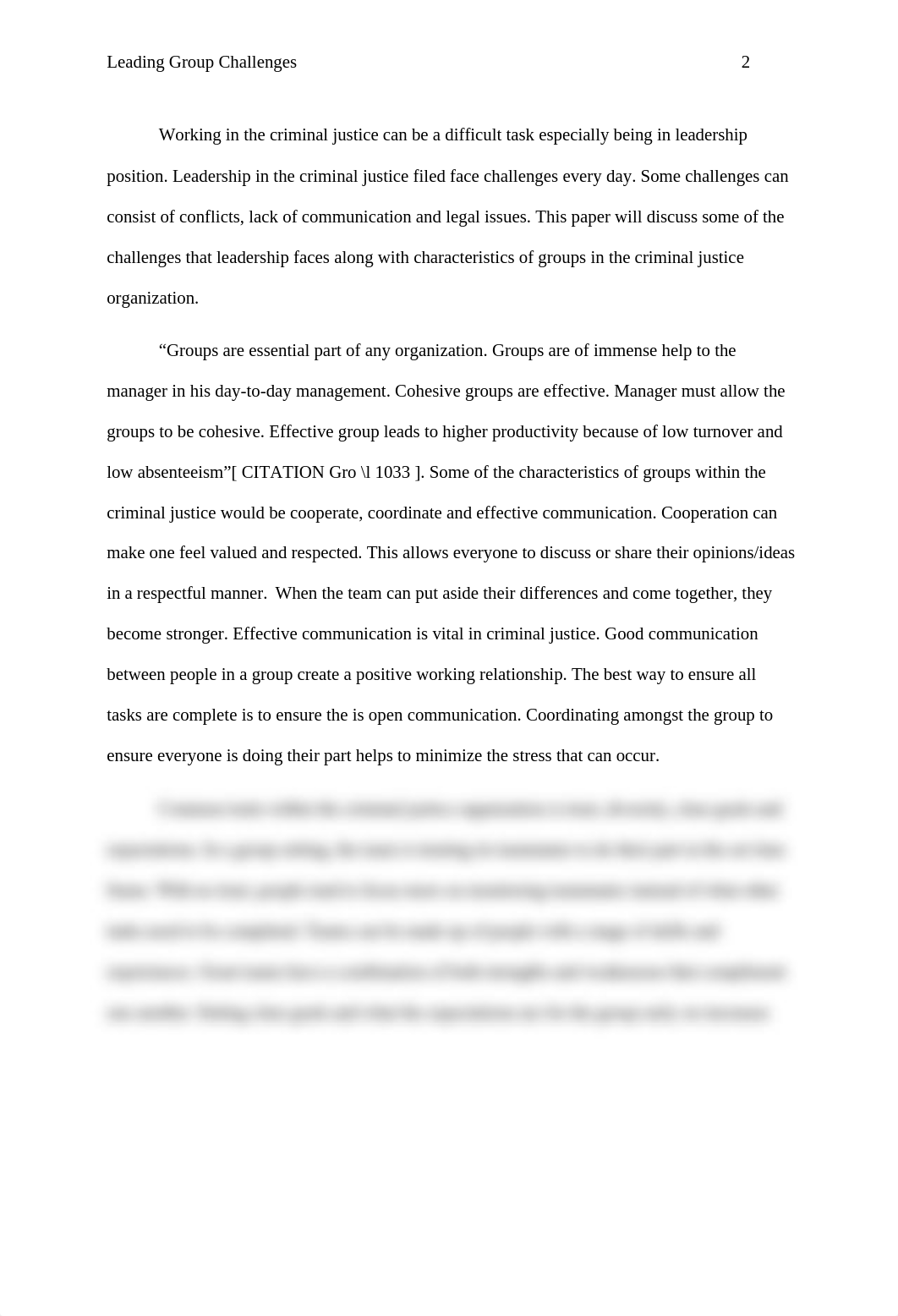 Leading Group Challenges Week 3 AJS 534 Sara Davidson.docx_dive2w35zop_page2