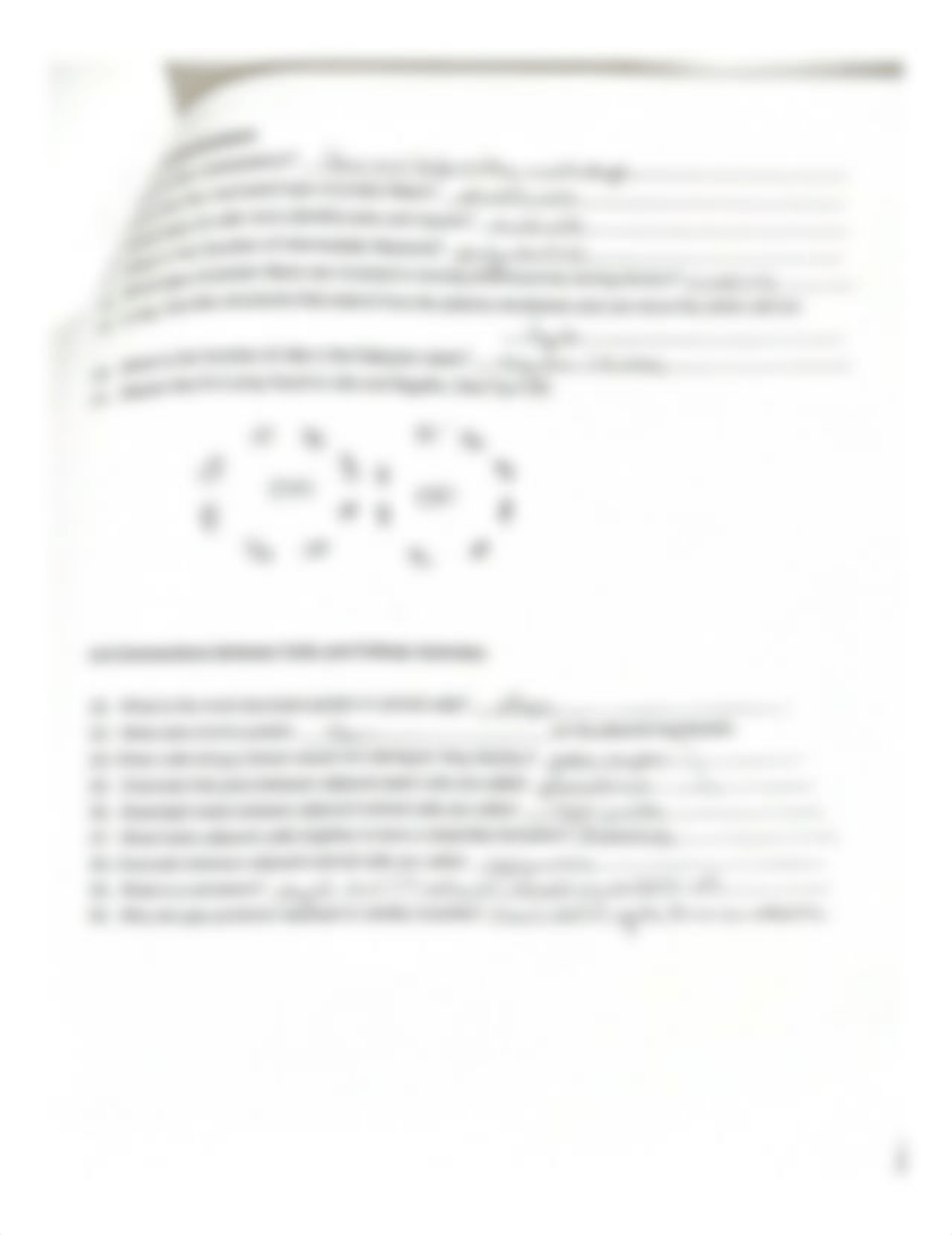 Reading_Guide_Ch_4_The_Cell.pdf_divf1kokaxe_page5