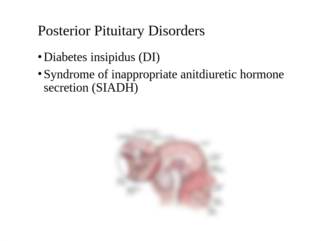 Week 9 Pituitary and Adrenal Gland Problems_STUDENT COPY.pptx_divlp14tkex_page2