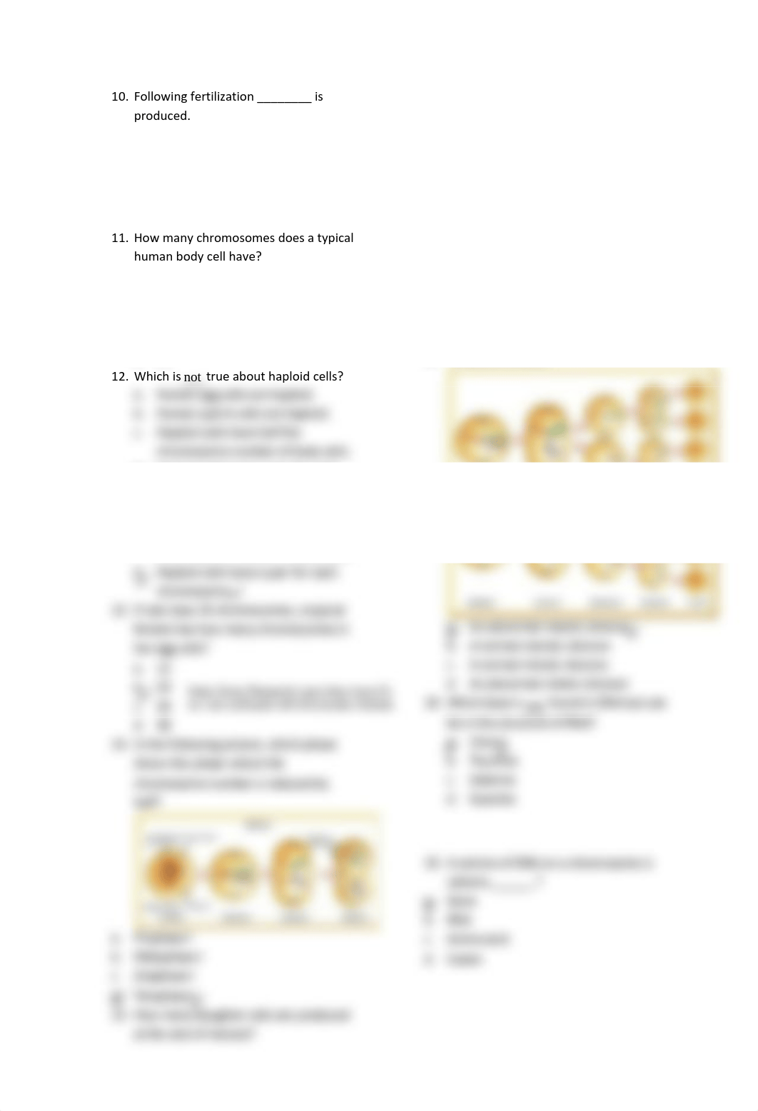 Genetics Test (HASAN FINAL)_divlq4vyt8h_page2