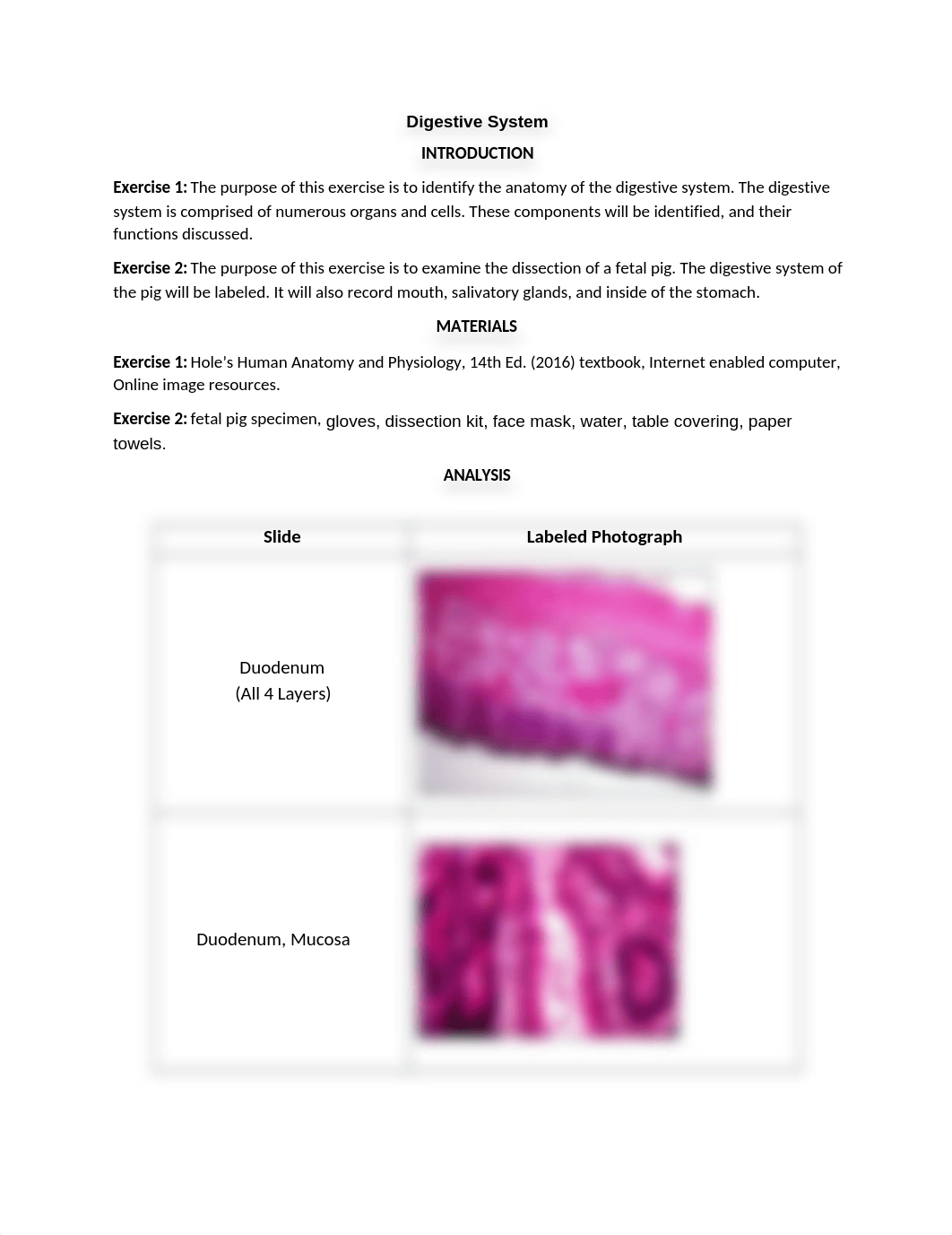 LAB 6 - DIGESTIVE SYSTEM.docx_divvubhjw8s_page1