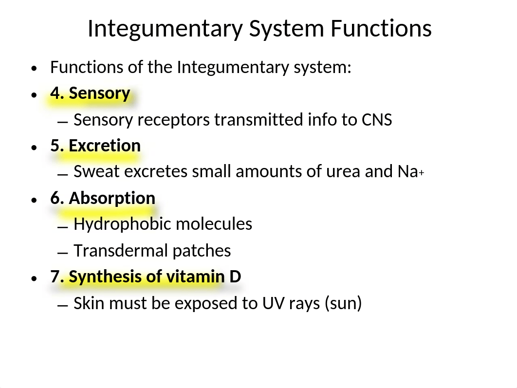 Chapter 5 Integumentary System.pptx_divzyevi56e_page3