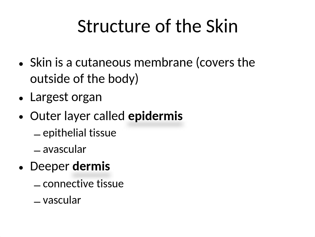 Chapter 5 Integumentary System.pptx_divzyevi56e_page5