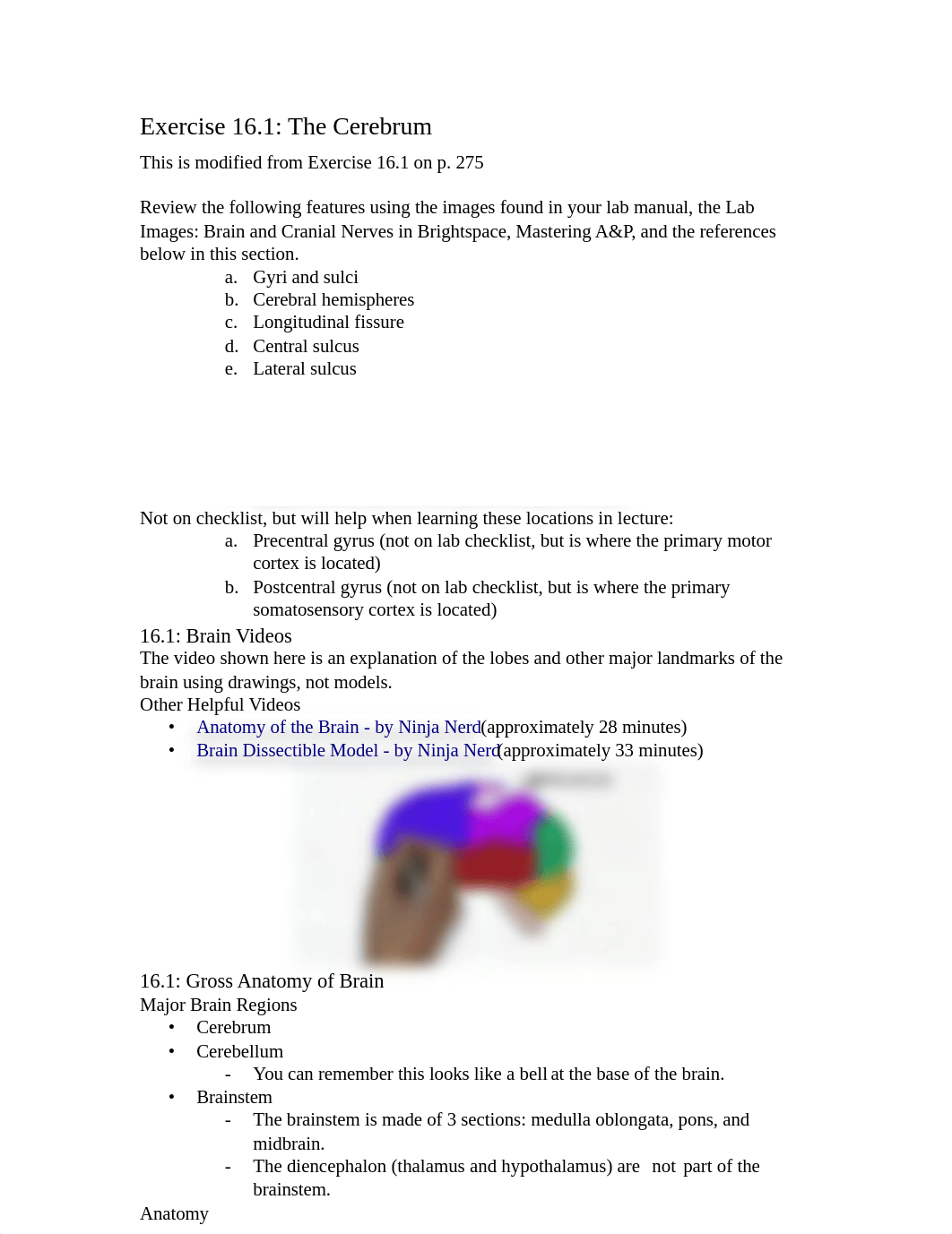 Sway - Brain & Spinal Cord - Chapter 16 (S21).docx_diw9uov42g1_page3