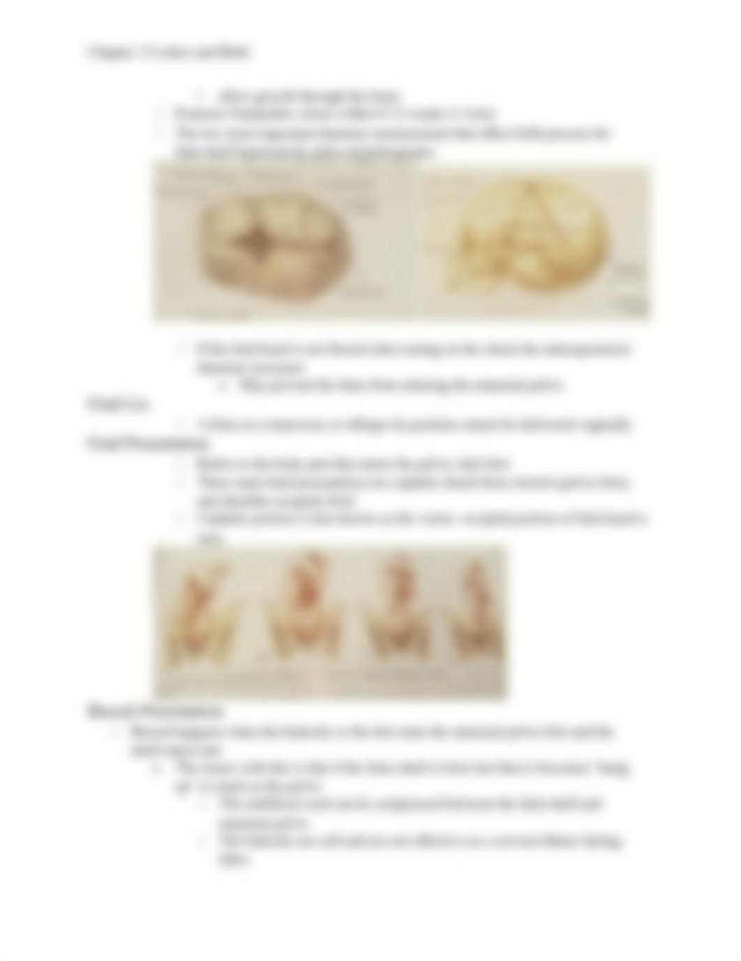 Chapter 13 Labor and Birth  .docx_diwav95g5p7_page3