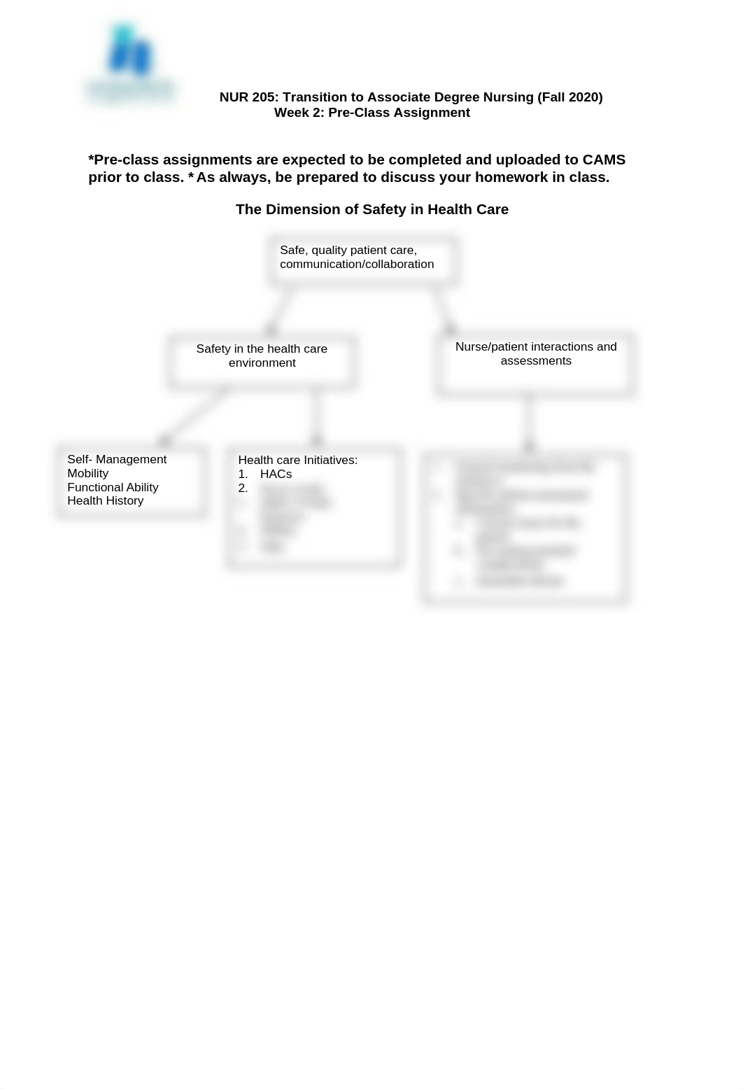 NUR 205-Week 2 Pre-Class Assignment FA 20.docx_diwbd1f423v_page1