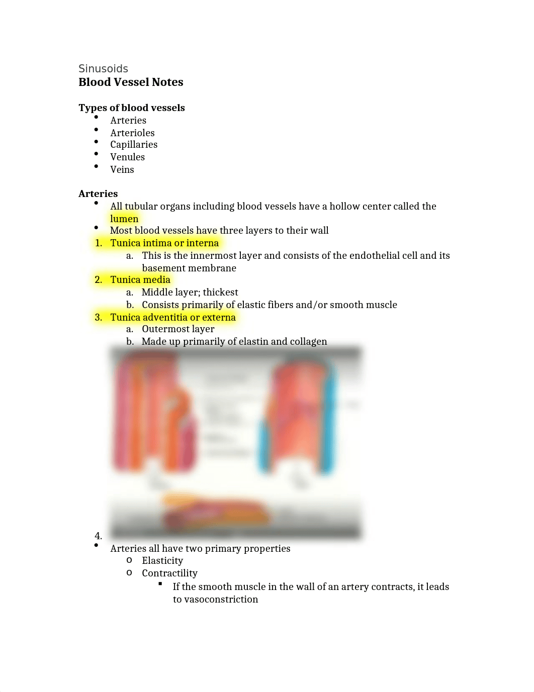 Blood Vessel Notes.docx_diwfn5m67cl_page1