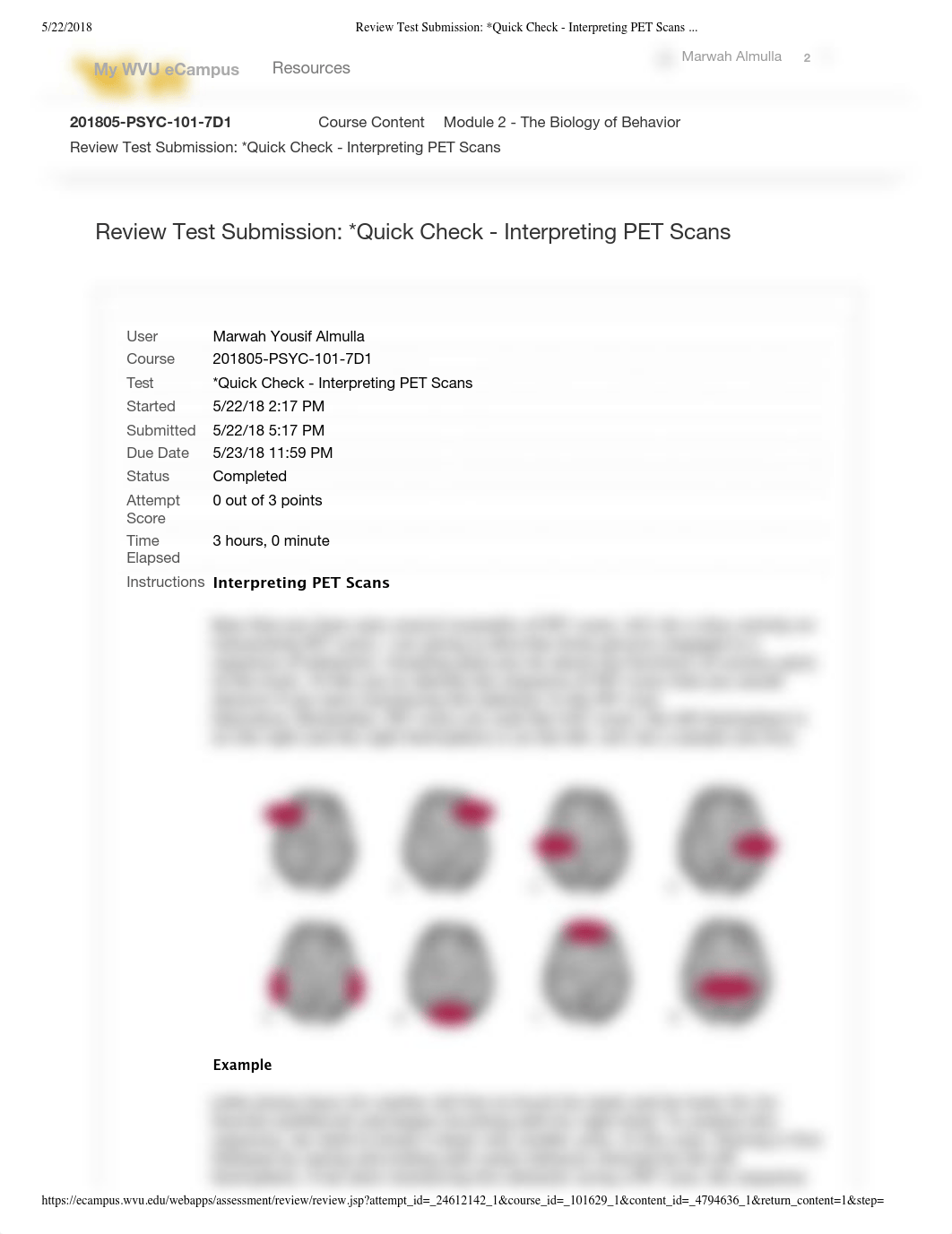 *Quick Check - Interpreting PET Scans_mod2.pdf_diwhoeooahi_page1