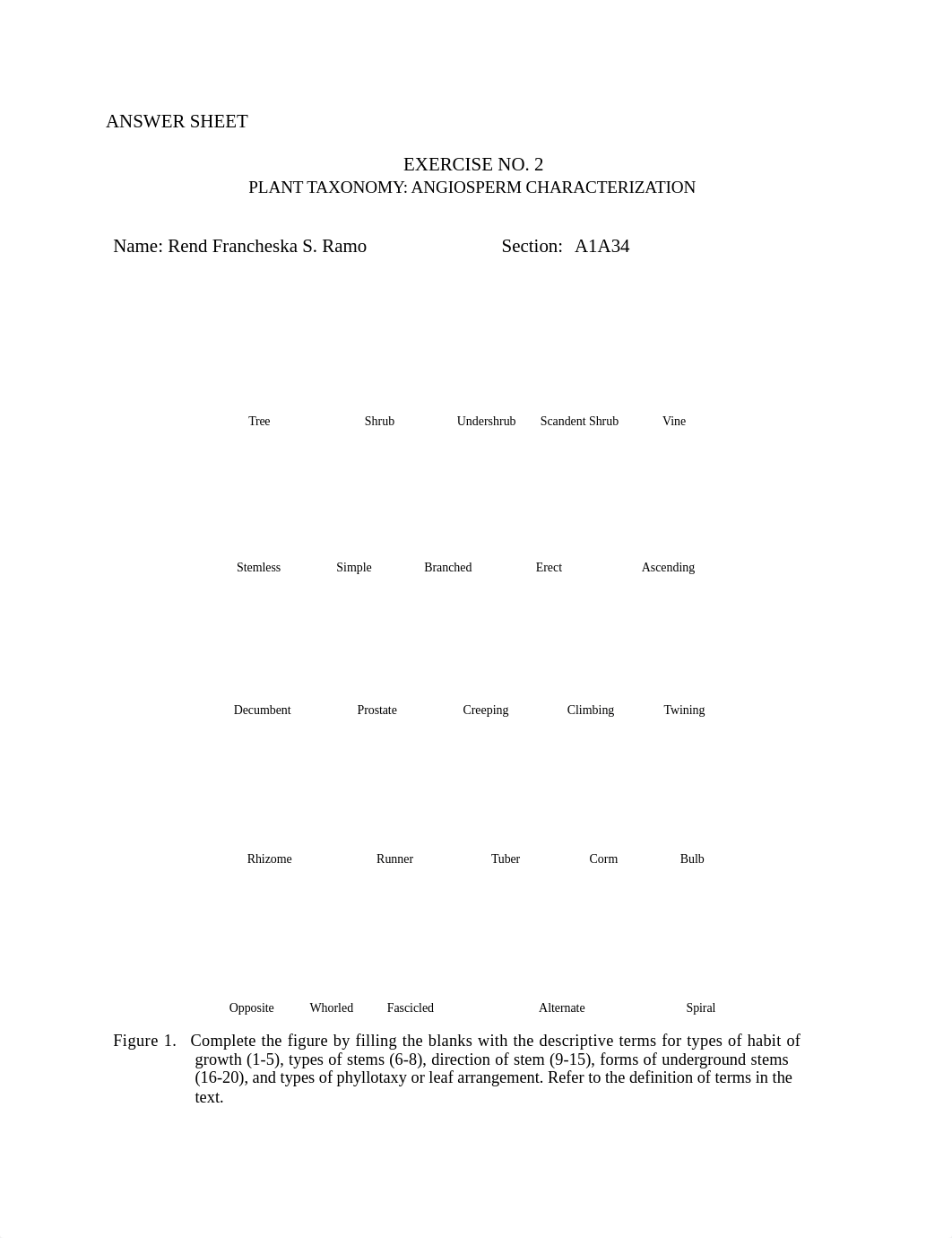 Exercise-2-Plant-Taxonomy-Angiosperm-Characterization.docx_diwkyamc4ld_page1