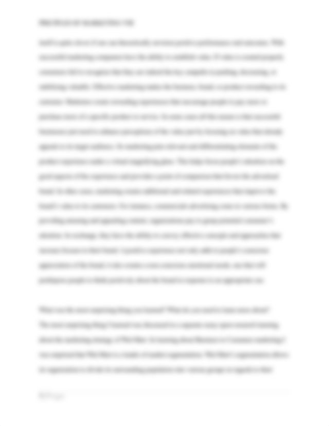 Marketing Reflection Essay VIII.docx_diwm252snb2_page3