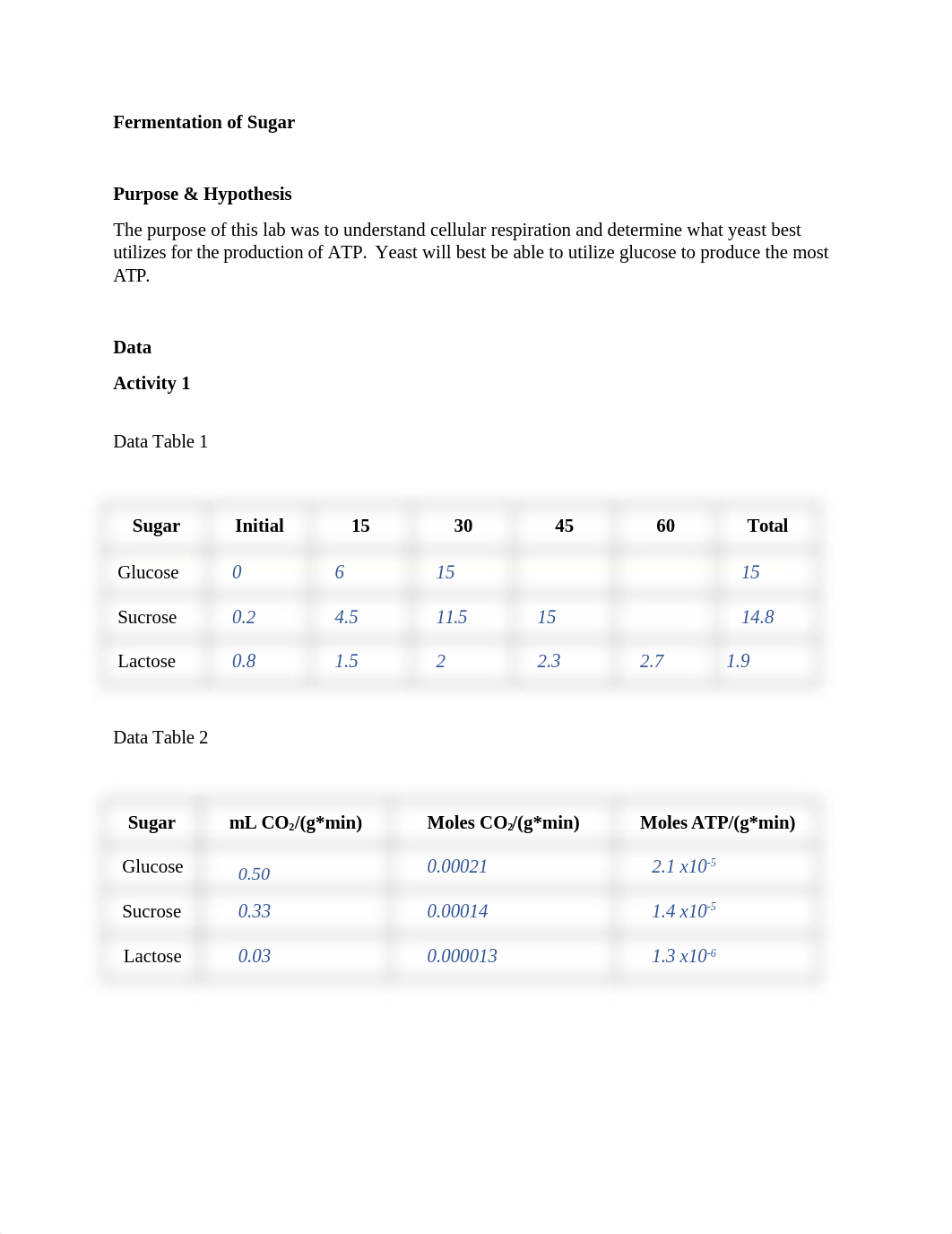 HKipp-Lab5Report.docx_diwvv5uhbic_page2