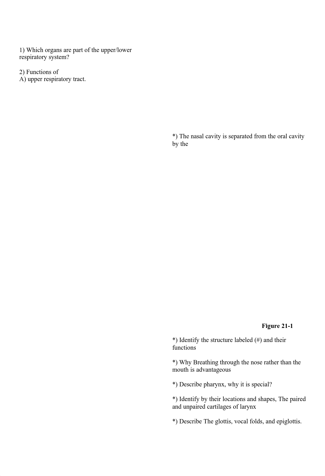 Resp-Review_Ch21_v2.pdf_dix0i7b4onk_page1