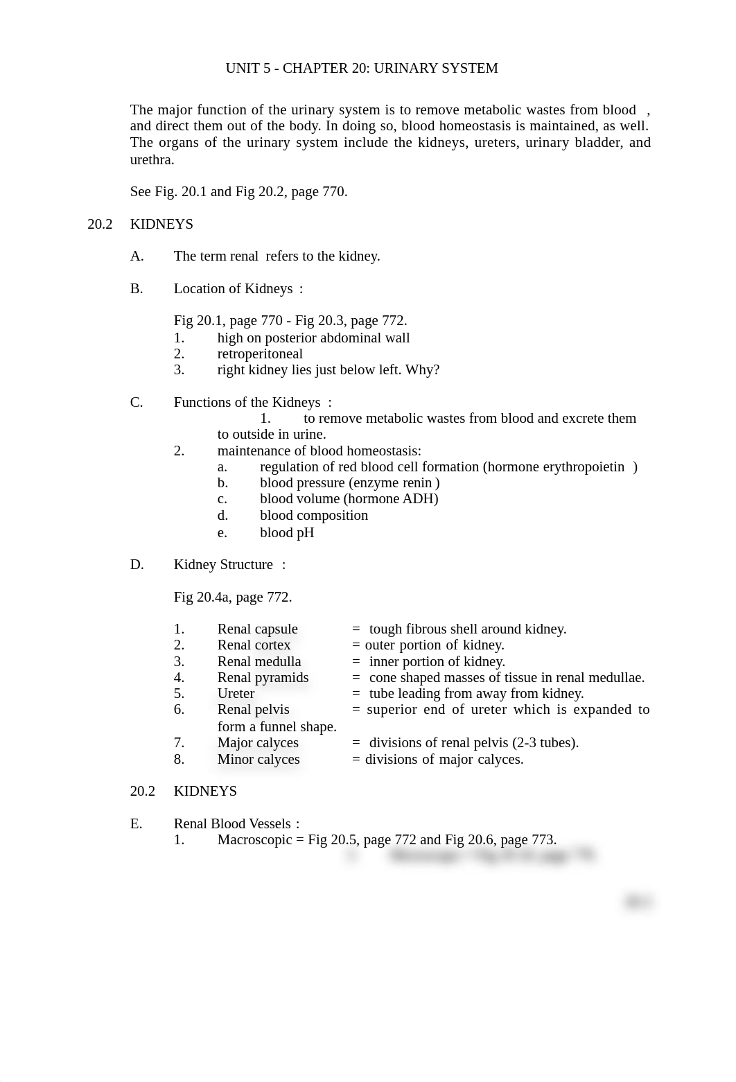 Chapter 20 Urinary system.doc_dixguy11j3k_page2