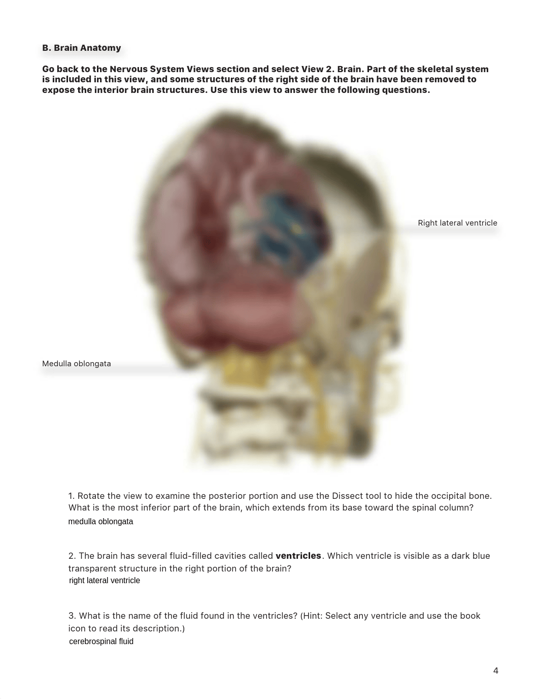 lab_manual_brain_atlas 1.pdf_dixw2dkn90p_page4