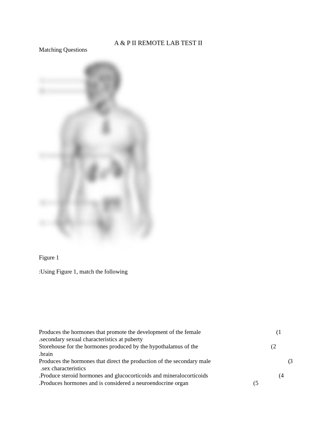 BIO 250 REMOTE LAB TEST 2.docx_diy51eml3uk_page1