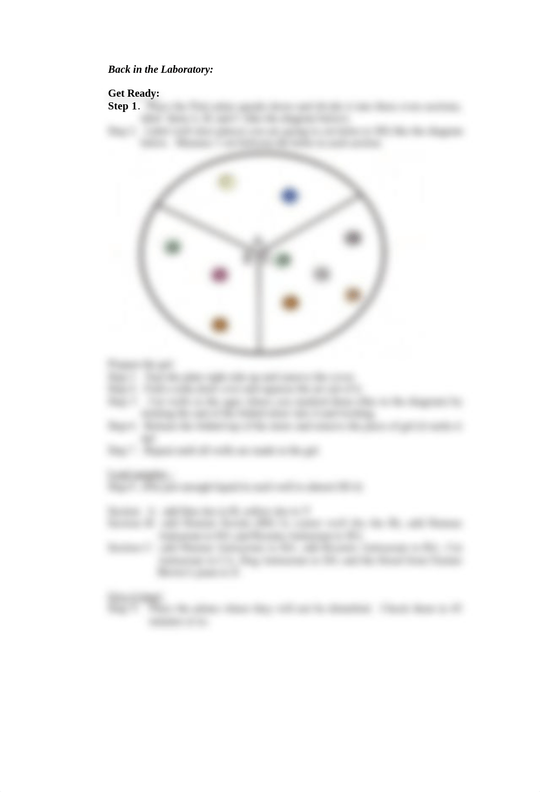 Farmer Brown - immunoassay instructions for students (1)_diy66u2xije_page2